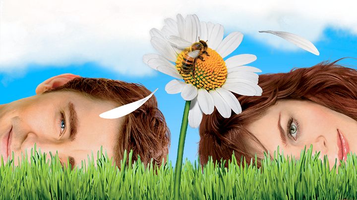 Pushing Daisies Cookbook - Recipes from the Pie Hole